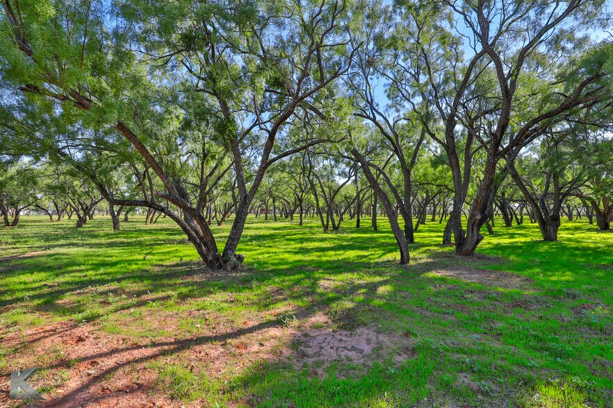 More Photos Of 4065 Sharon Rd, Abilene Land For Sale