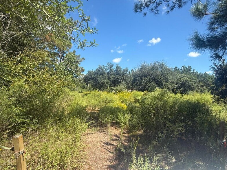 Primary Photo Of 999 Memorial Church Rd, Longville Land For Sale