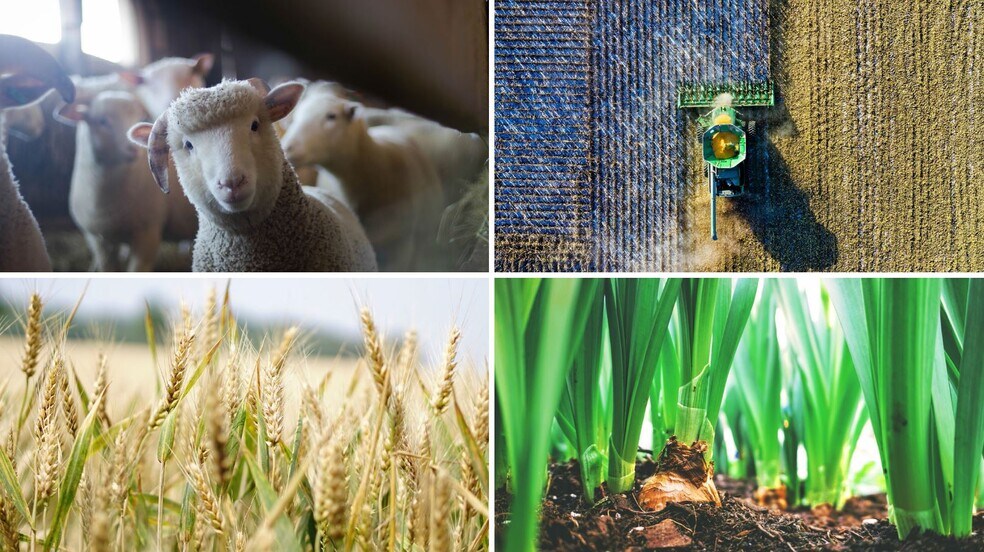 More Photos Of 7240 Sunrise Blvd, Sacramento Land For Sale