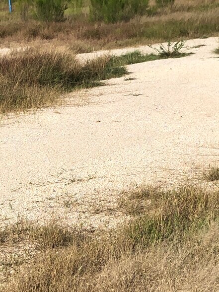 More Photos Of FM 536, Pleasanton Land For Sale
