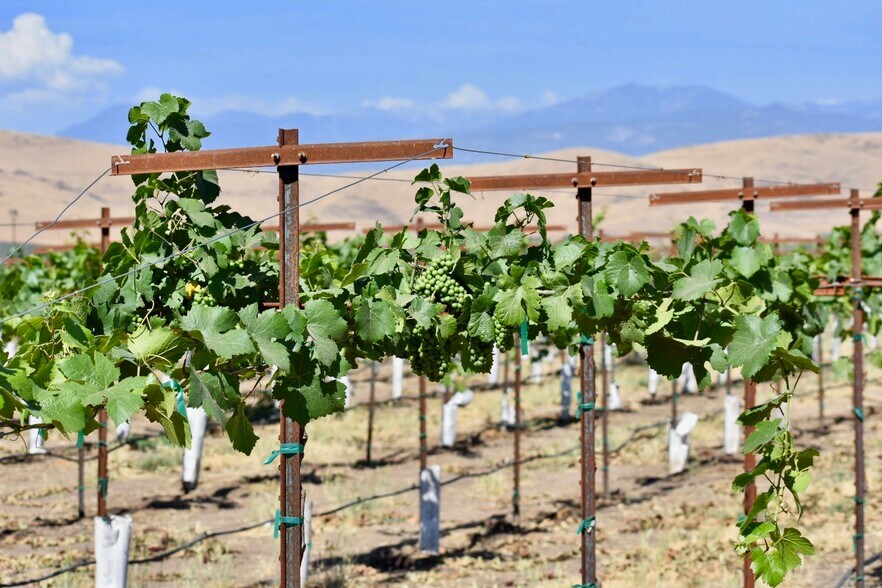 More Photos Of 25203 Road 212, Lindsay Land For Sale