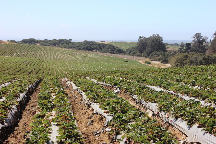 More Photos Of 16475 Blackie Rd, Salinas Land For Sale