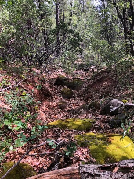 More Photos Of 1989 Tract Shingletown Ridge Rd, Shingletown Land For Sale