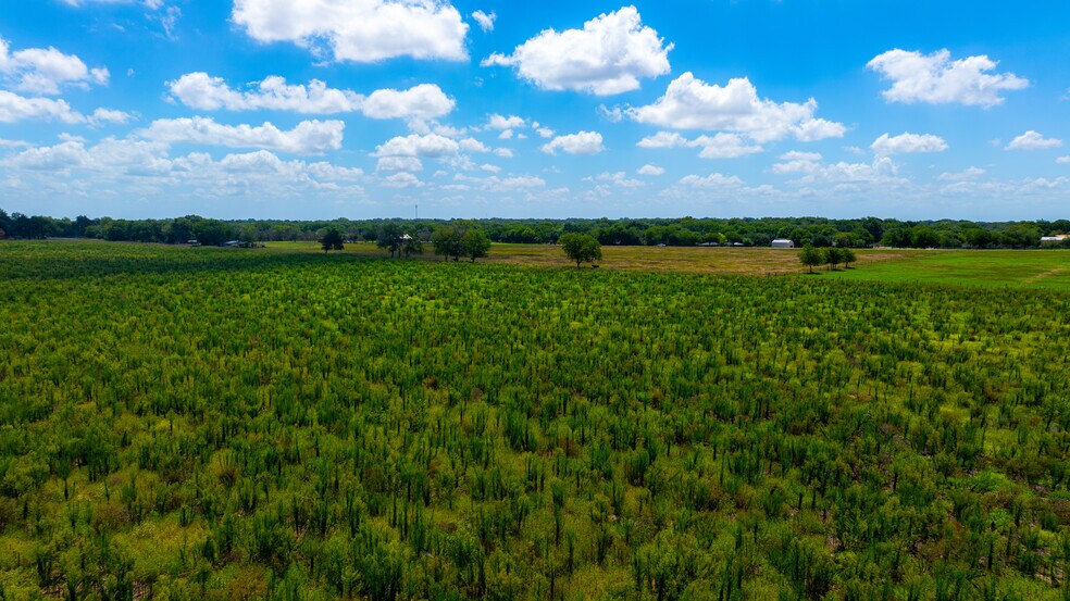 More Photos Of 7201 FM725, McQueeney Land For Sale