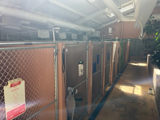 More Photos Of 3240 Briarfield Blvd, Maumee Veterinarian Kennel For Sale