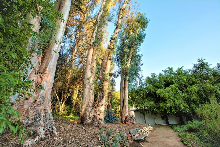 More Photos Of 6036 Rainbow Heights Rd, Fallbrook Land For Sale