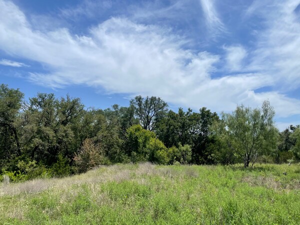 More Photos Of 221 W Rolling Oaks Dr, Goldthwaite Land For Sale