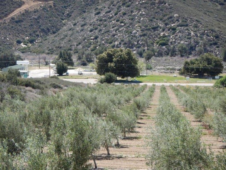 More Photos Of 0 San Felipe Rd, Warner Springs Land For Sale