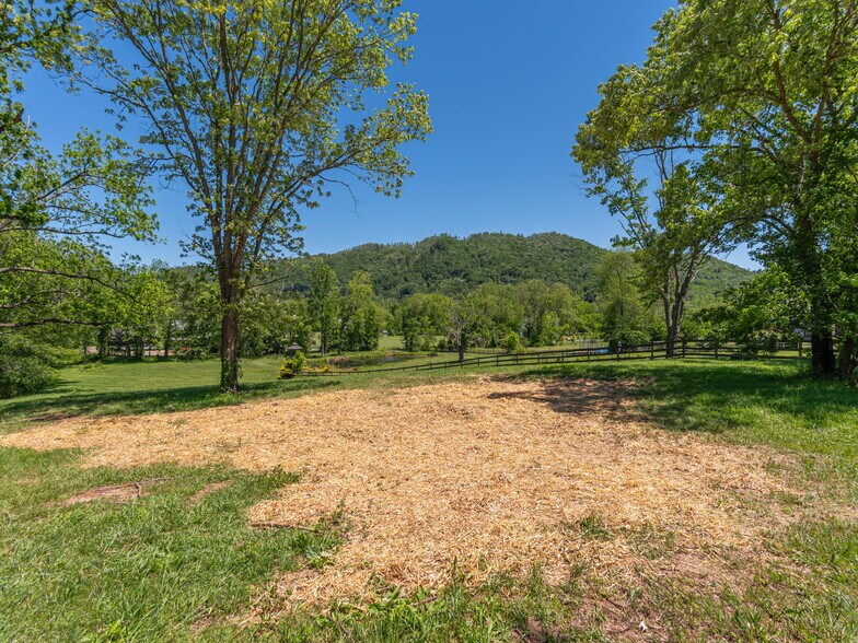 More Photos Of 1132 Cane Creek Rd. rd, Fletcher Land For Sale