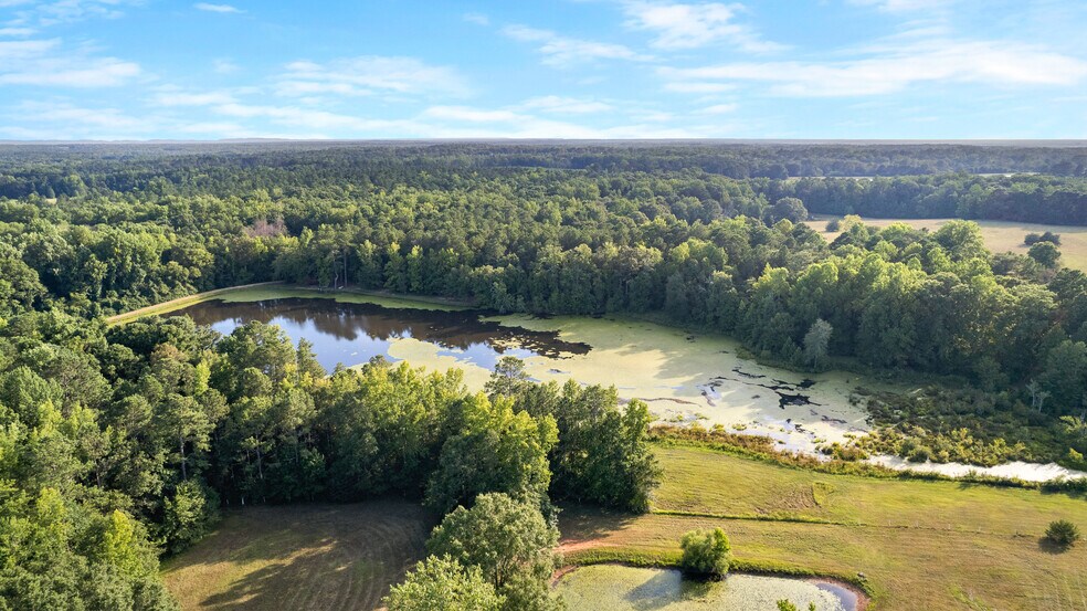 More Photos Of 4091 Hollonville Rd, Williamson Land For Sale