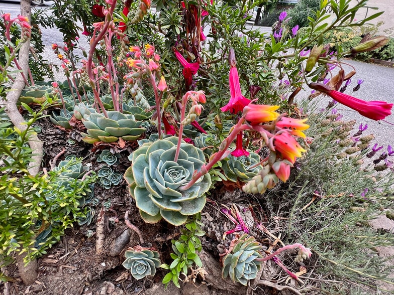 More Photos Of 2745 Porter St, Soquel Medical For Sale