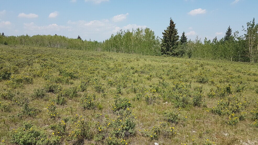More Photos Of 2 Bow River, Rocky View No 44 Land For Sale