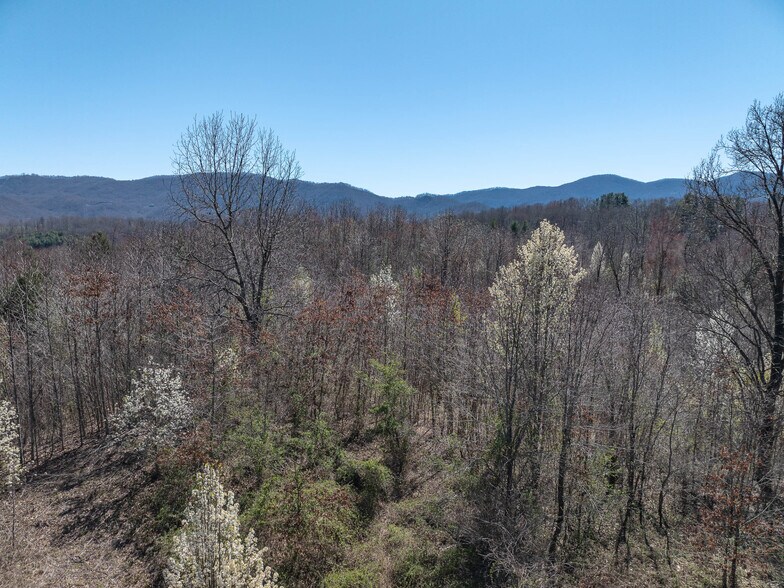 More Photos Of 00 Woodland Dr, Waynesville Land For Sale