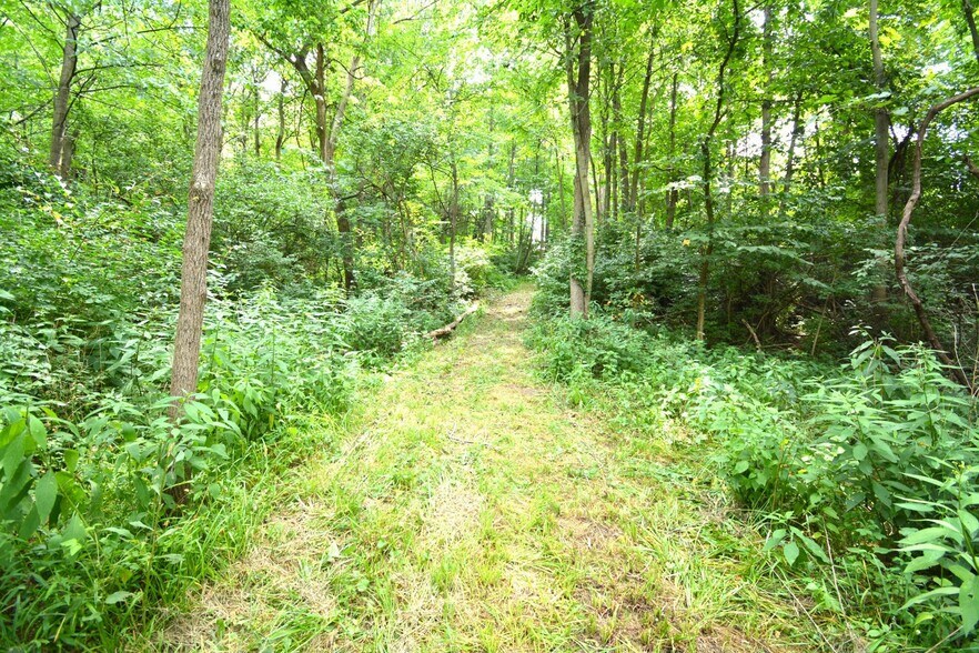 More Photos Of 250 Main st, Mount Gilead Land For Sale