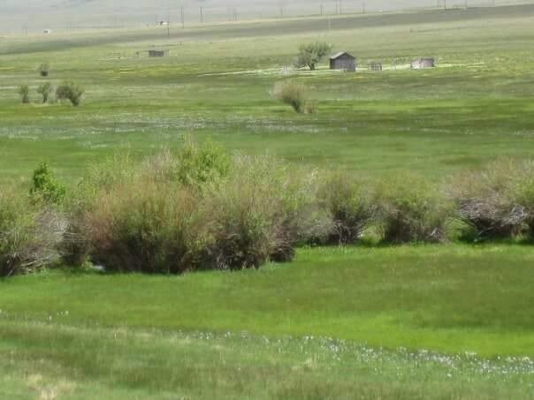 More Photos Of Vacant Highway 285, Villa Grove Land For Sale