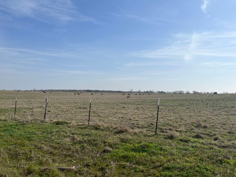 More Photos Of 564 County Road 249A, Cameron Land For Sale