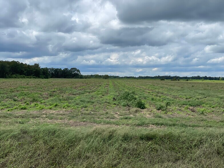 More Photos Of 5700 Pine Forest Rd, Walnut Hill Land For Sale