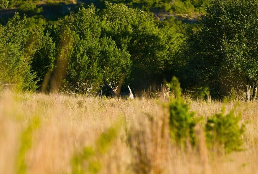More Photos Of Mustang Creek Ranch, Dripping Springs Land For Sale
