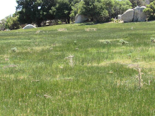 More Photos Of McCain Valley R McCain Valley rd, Boulevard Land For Sale