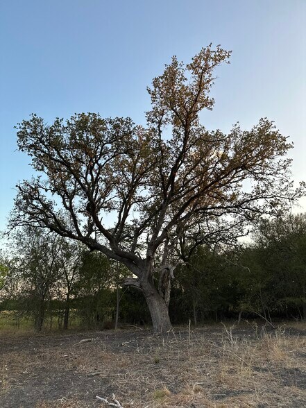 More Photos Of 00 Hwy 90 w, Castroville Land For Sale