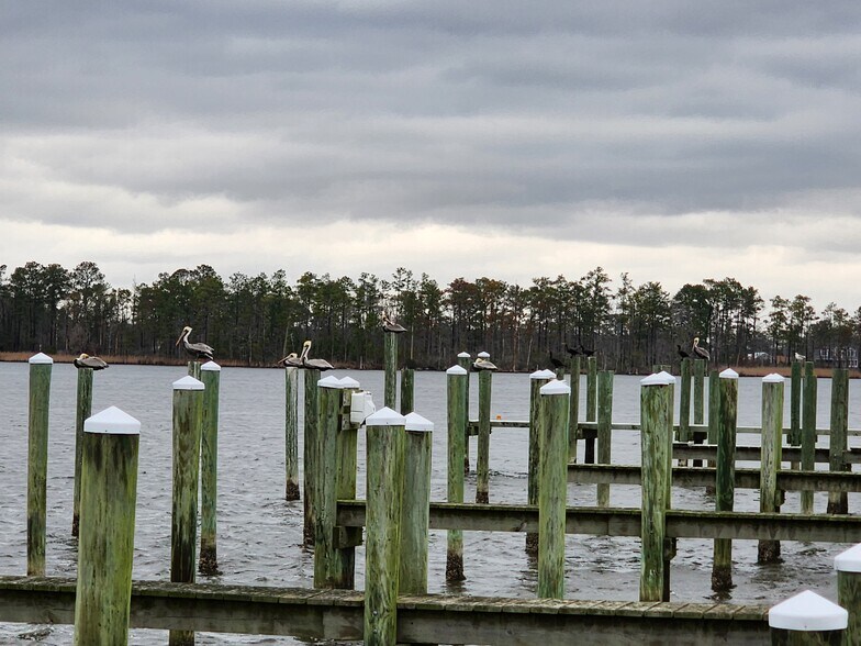 More Photos Of 577 Hoff Rd, Belhaven Land For Sale