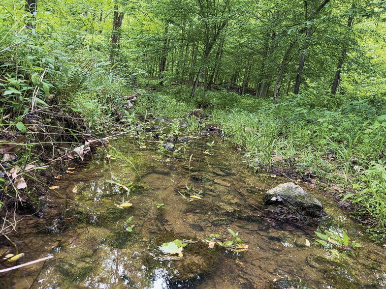 More Photos Of 2475 W County Road 1050 S, Cloverdale Land For Sale