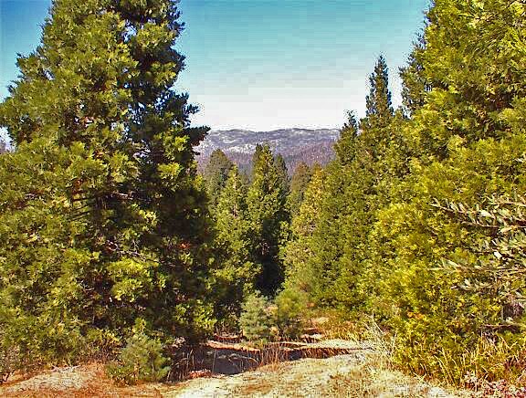 More Photos Of Highway 180 Hwy 180, Miramonte Land For Sale