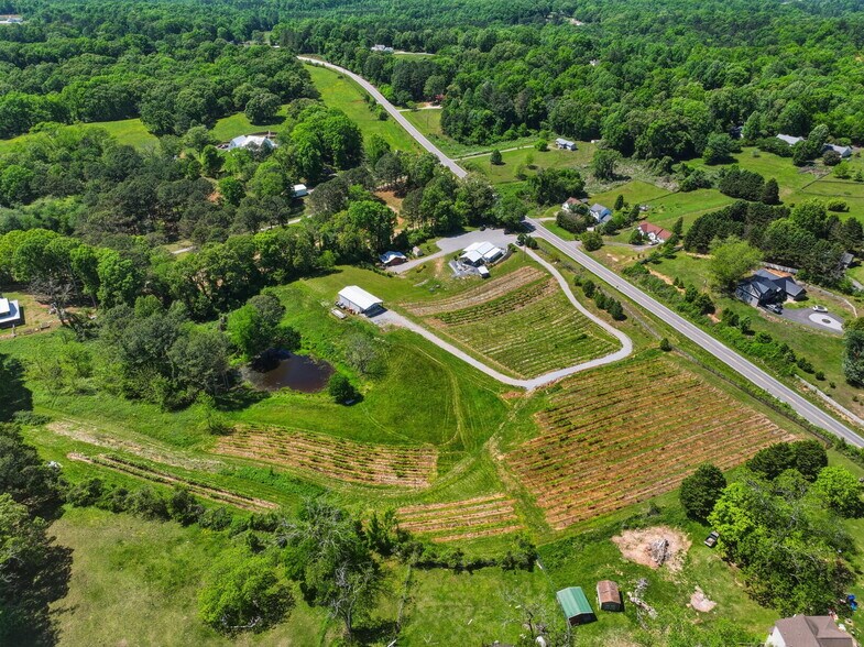 More Photos Of 2317 GA-382, Ellijay Winery Vineyard For Sale