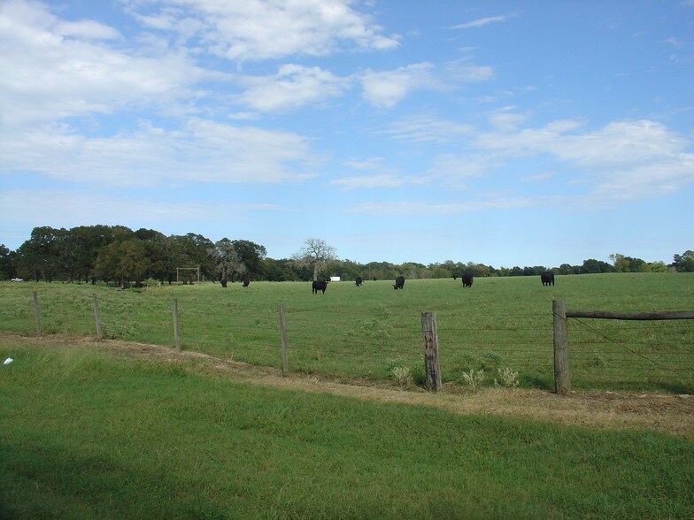 More Photos Of 53681 US 290 Hwy, Hempstead Land For Sale