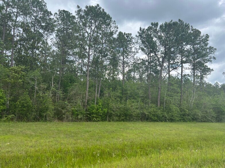 More Photos Of 0 Hwy 63, Moss Point Land For Sale