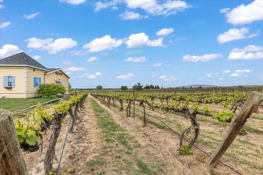 More Photos Of 500 S Bonair Rd, Zillah Winery Vineyard For Sale