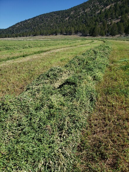 More Photos Of 740 N Butte St, Dorris Land For Sale