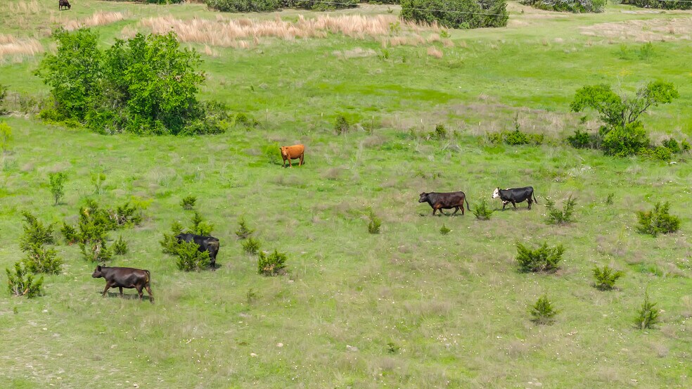 More Photos Of 8200 County Road 200, Burnet Land For Sale