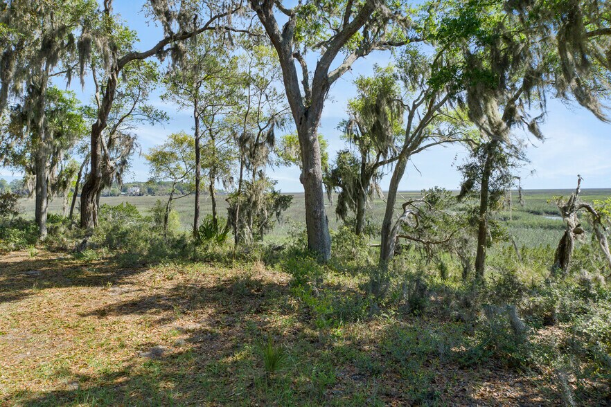More Photos Of 0 Fig Tree, Midway Land For Sale