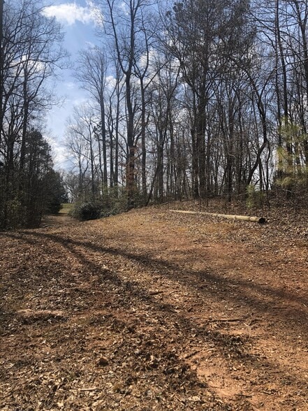 More Photos Of 4559 Winder Hwy, Flowery Branch Land For Sale