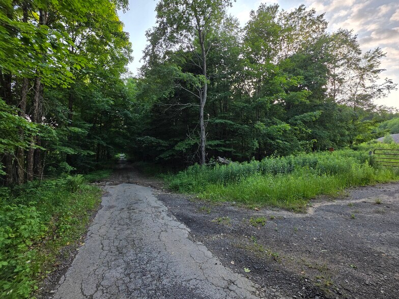 More Photos Of 0 Osceola Rd, West Leyden Land For Sale