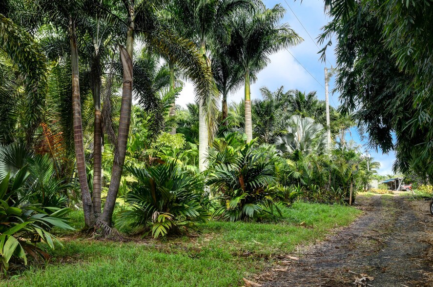 More Photos Of 27-2760 Hawaii Belt Rd, Pepeekeo Land For Sale