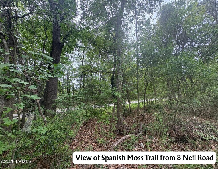 More Photos Of 8 Neil Rd, Beaufort Land For Sale