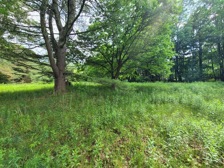 More Photos Of 1195 State Route 17B, Bethel Land For Sale