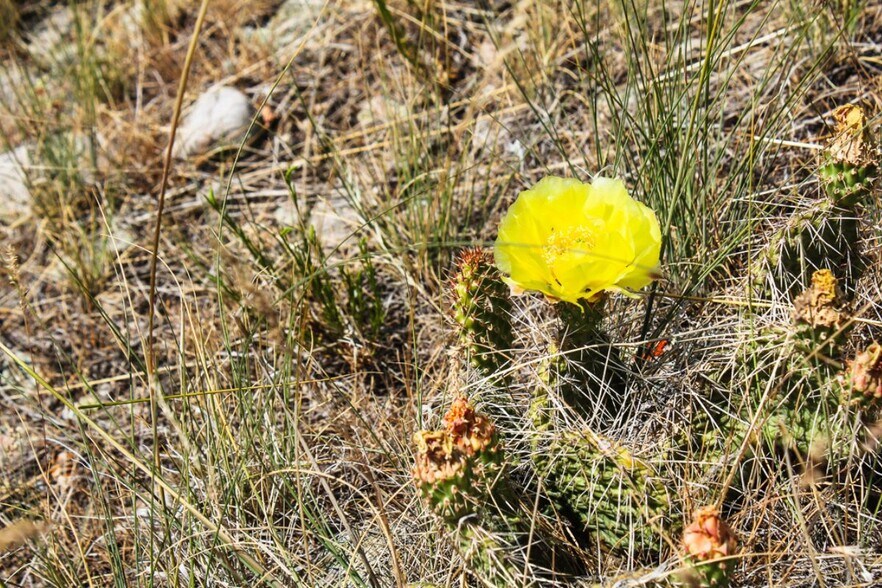 More Photos Of W Hoytsville Rd, Hoytsville Land For Sale