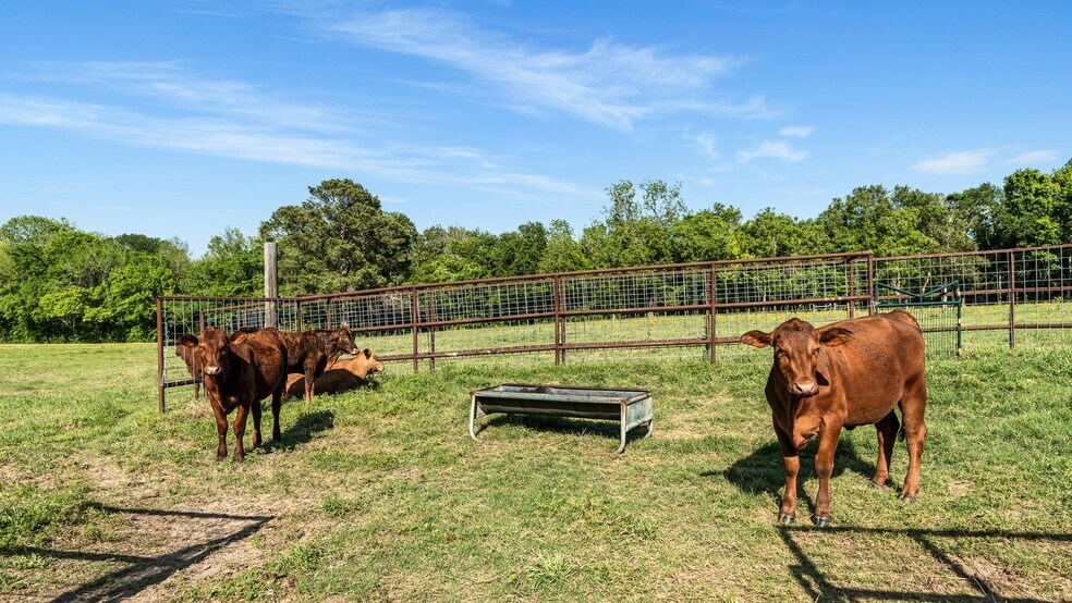 More Photos Of 2355 Jackson League Cir, Brenham Lodge Meeting Hall For Sale