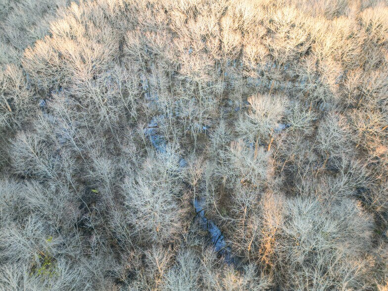 More Photos Of 9036 Bullard Rd, Dry Branch Lodge Meeting Hall For Sale