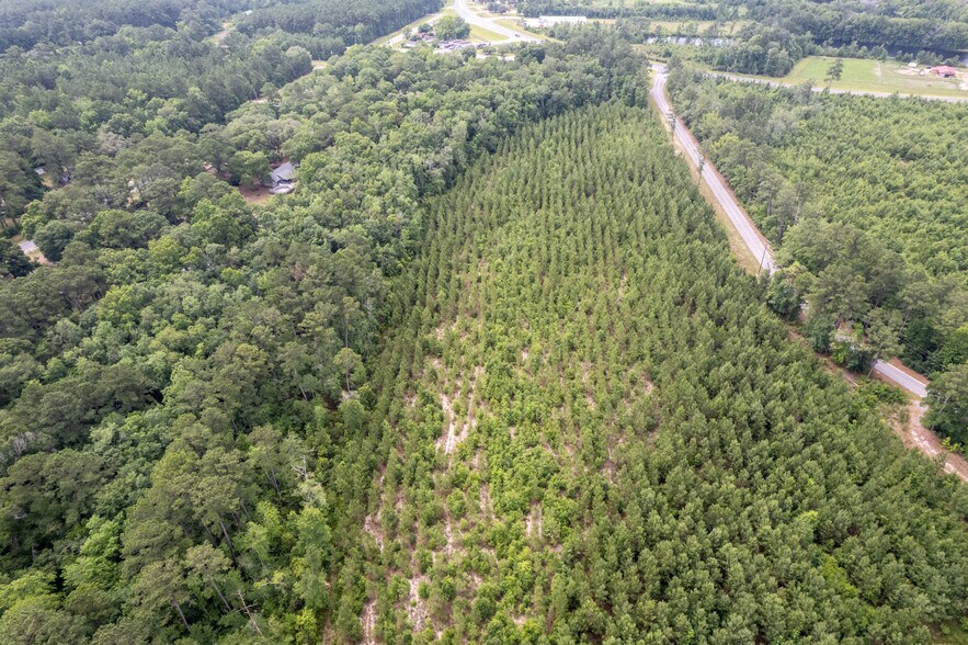 More Photos Of 425 Old River Rd, Bloomingdale Land For Sale