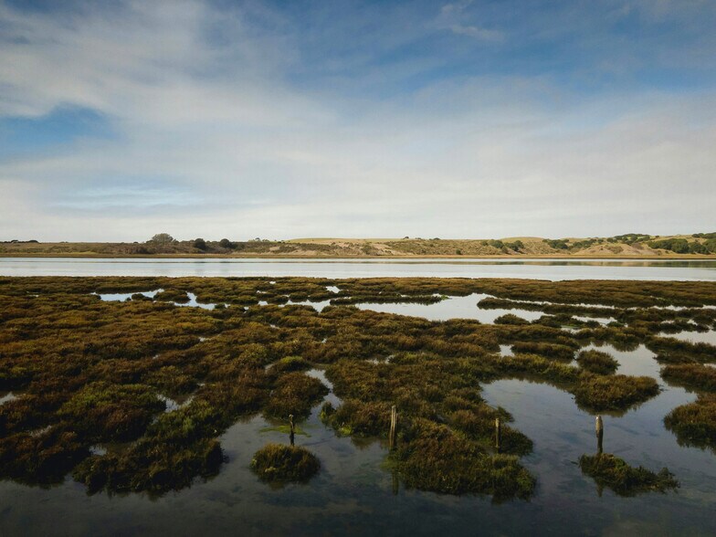 More Photos Of 967 Salinas Rd, Royal Oaks Land For Sale