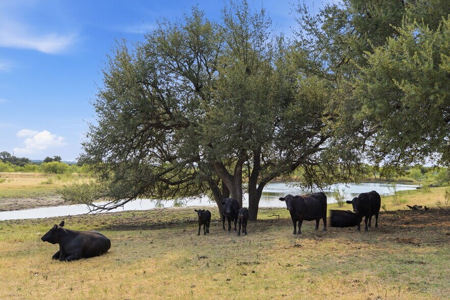 More Photos Of 8750 FM 2243, Leander Land For Sale