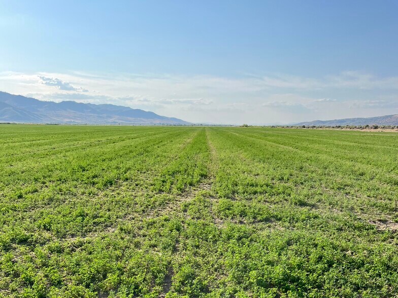 More Photos Of 425-940 Constantia Rd, Doyle Land For Sale