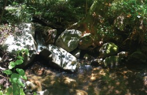 More Photos Of VALUABLE TIMBERLAND, La Honda Land For Sale