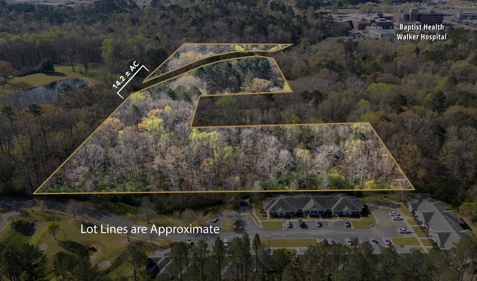 Primary Photo Of 358 Blackwell Dairy Rd, Jasper Land For Sale