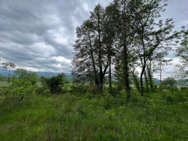 More Photos Of 6387 Airport Rd, Andrews Land For Sale