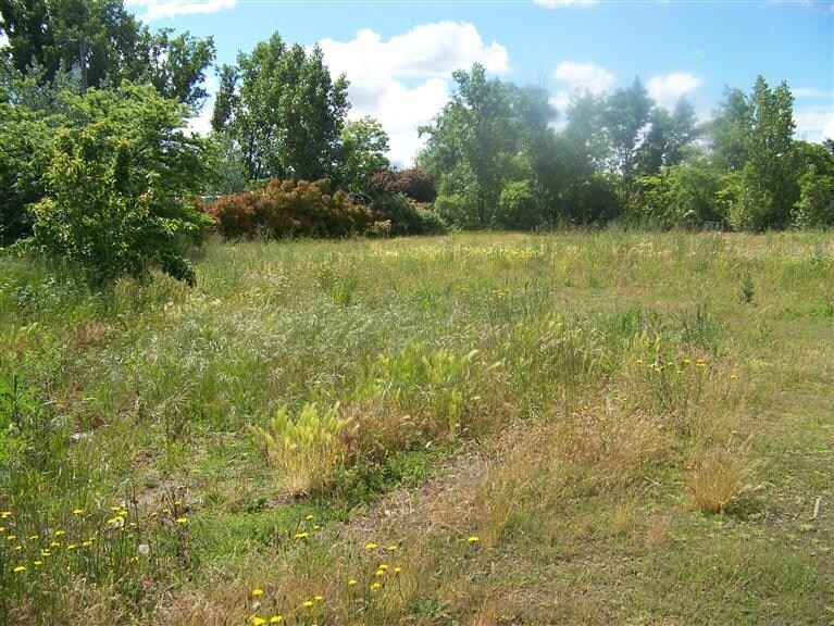 Primary Photo Of 4920-4922 Gebhard Rd, Central Point Land For Sale